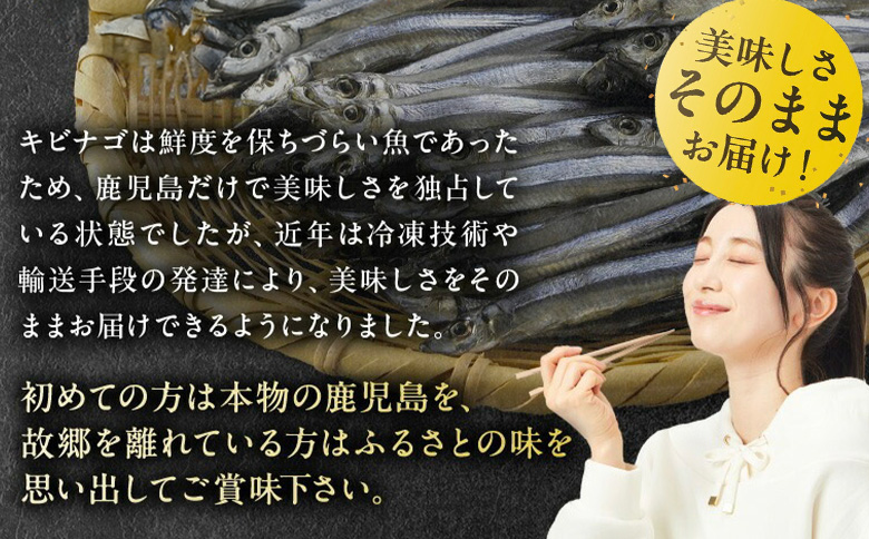 008-65 鹿児島県産キビナゴ丸ごと冷凍1.5kg