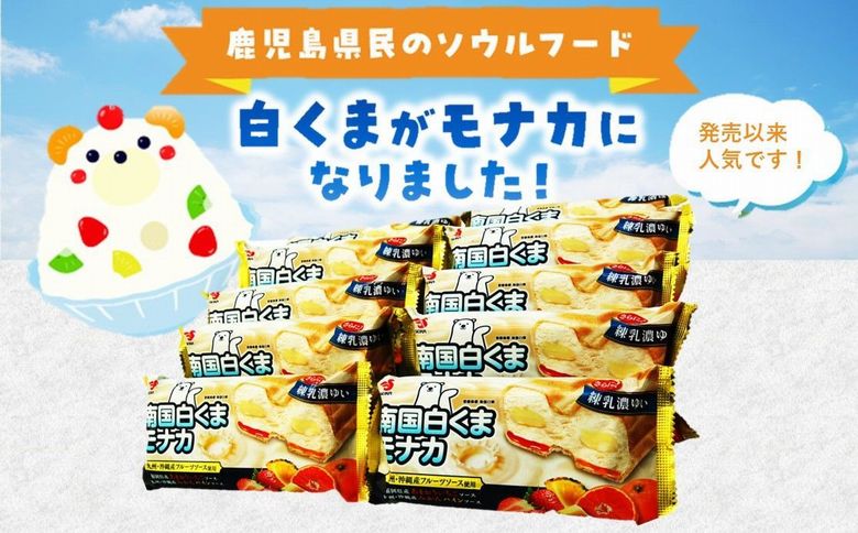 008-74 南国白くまモナカ10個セット