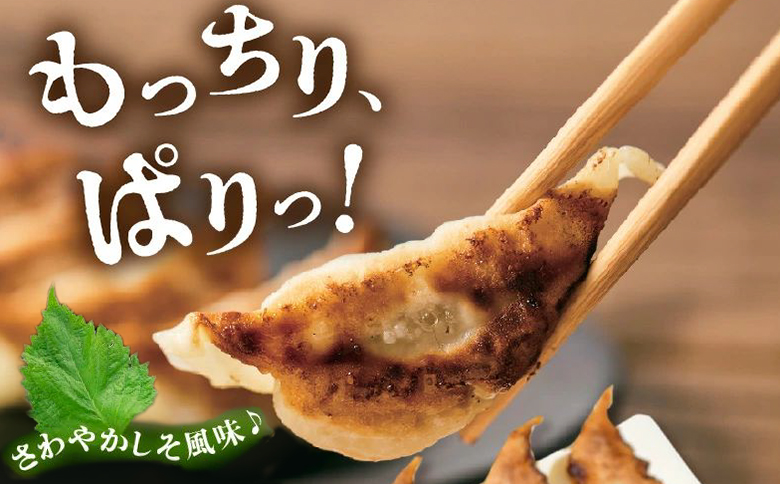 015-18 かごしま黒豚しそ餃子60個(タレ付）