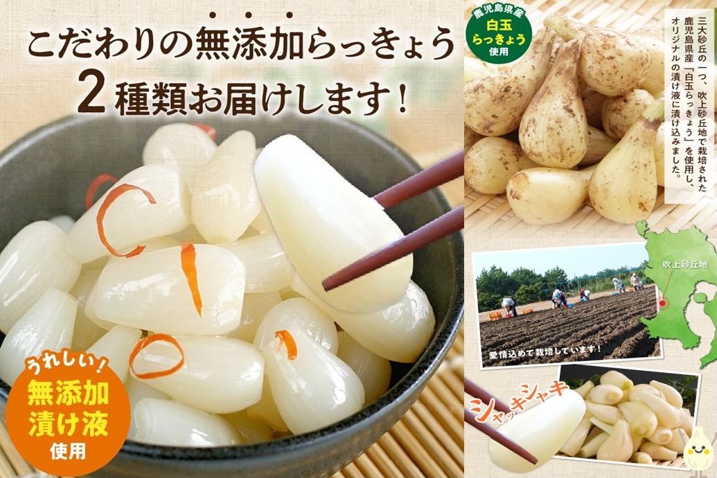 017-04 鹿児島県産砂丘らっきょう漬け大容量セット