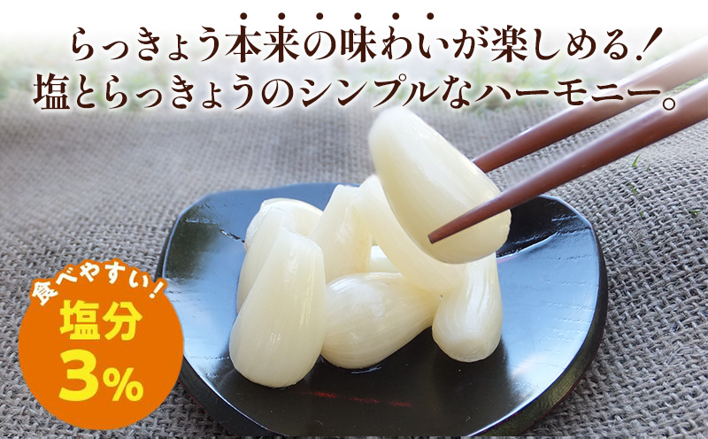 017-05 鹿児島県産砂丘らっきょう塩漬け1.8kg