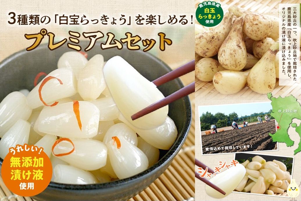 017-07 鹿児島県産砂丘らっきょうプレミアムセット