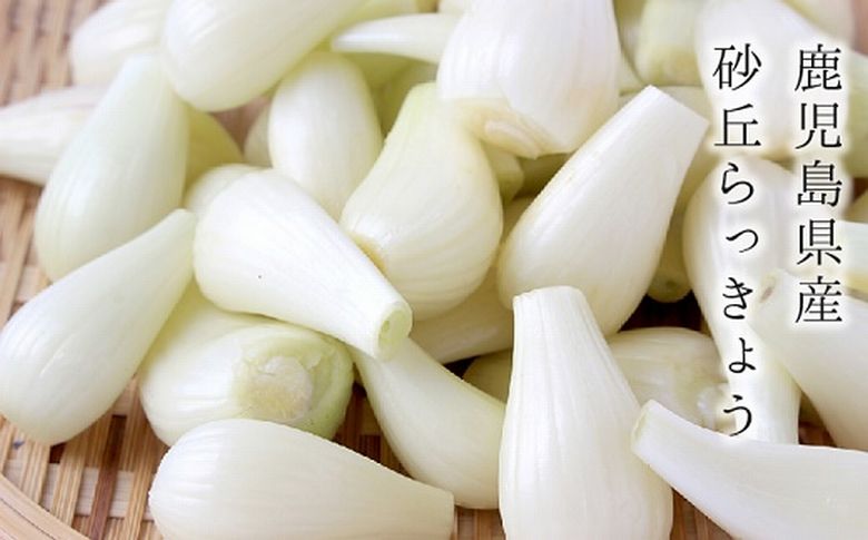 017-09 おかずラッキョウ8瓶セット