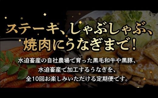 【全10回】鹿児島自慢の豚・牛・うなぎ!10回満足定期便 027-40