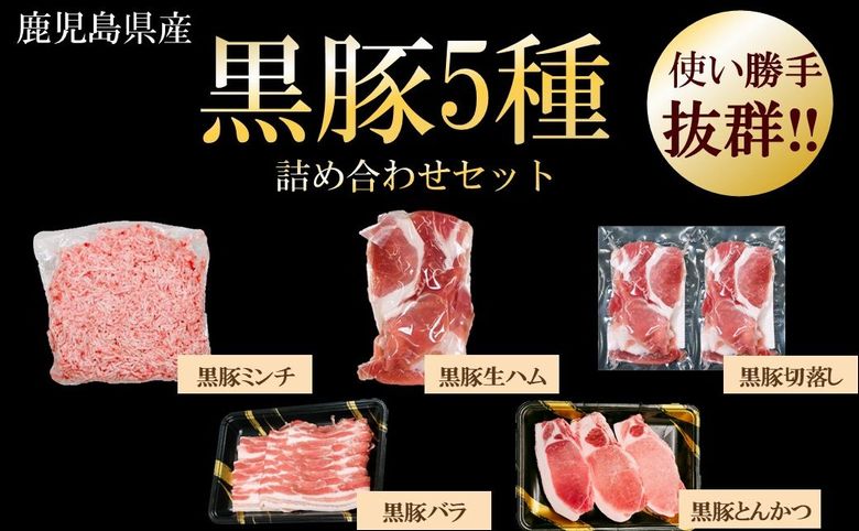 027-46 鹿児島県産黒豚5種 合計1,430g詰め合わせセット