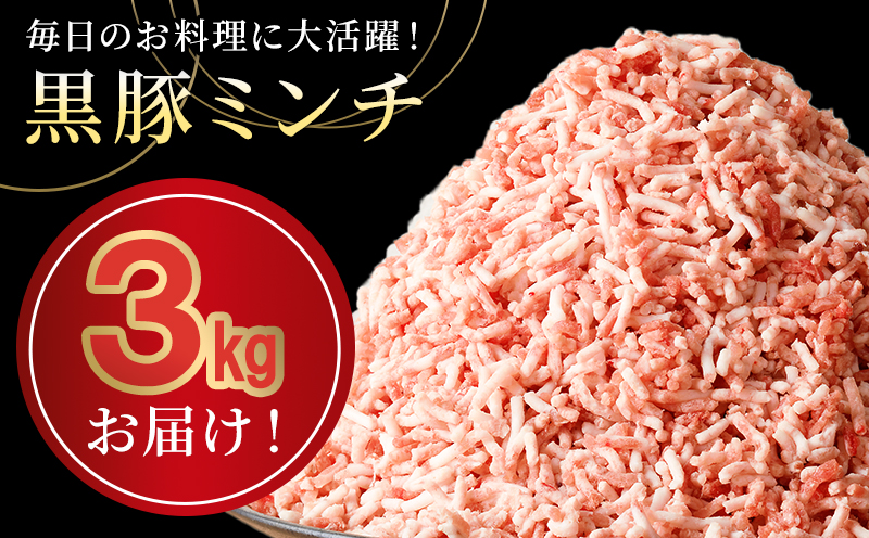 027-50 鹿児島県産黒豚ミンチ500g×6Pセット