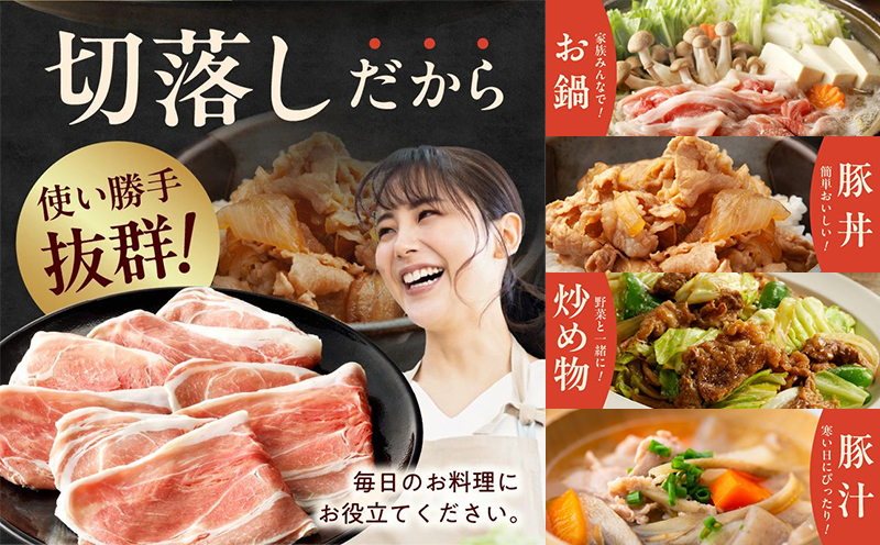 027-82 鹿児島黒豚切落し800g 生ハム400g付