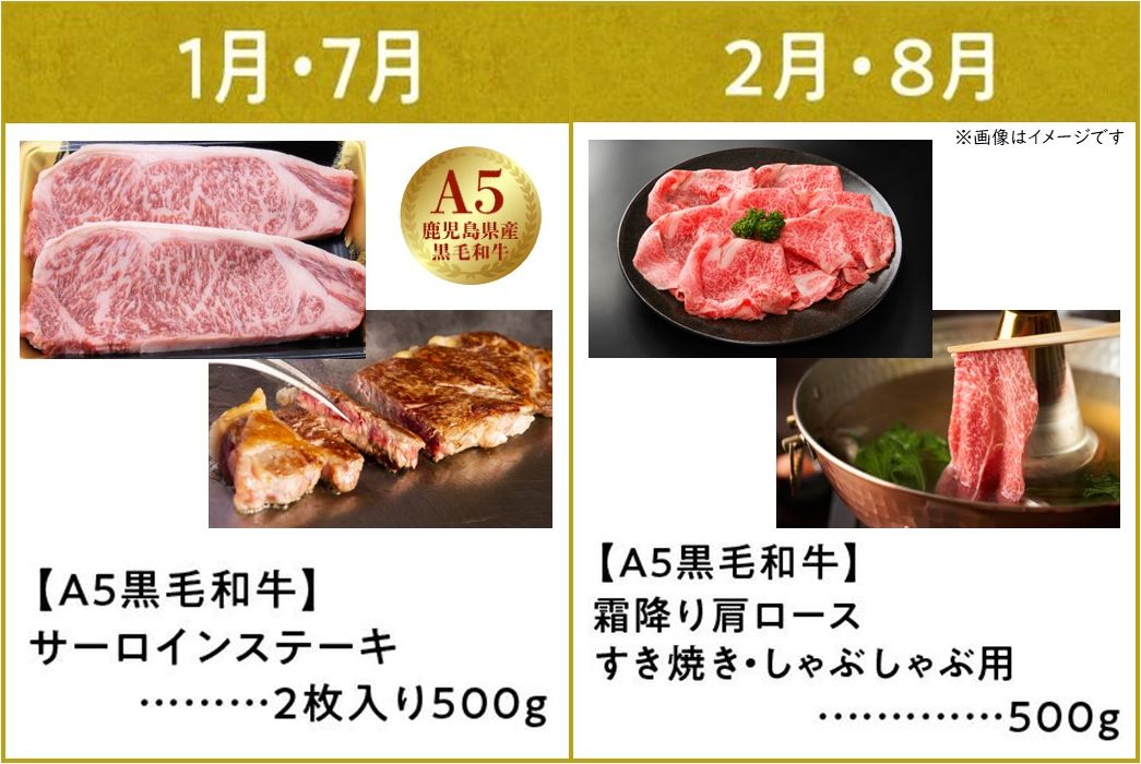 【全6回】鹿児島県産A5黒毛和牛霜降り・赤身食べ尽くし特選便3kg 027-95