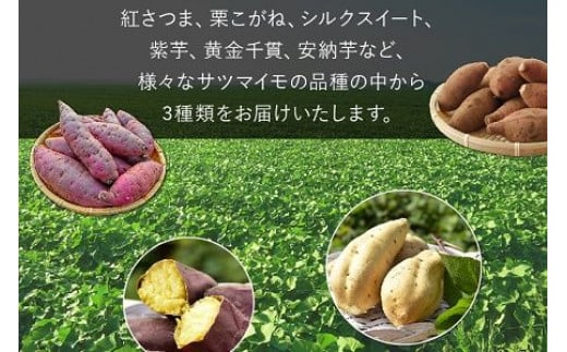 040-01-1 【お歳暮に】さつまいも3種おまかせ4kgセット