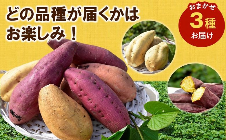 040-01 さつまいも3種おまかせ4kgセット