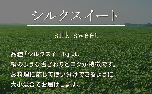040-02 さつまいも「シルクスイート」5kg