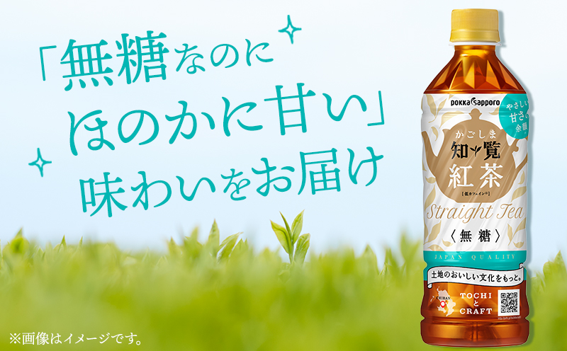 051-26 知覧かごしま紅茶 ペットボトル24本