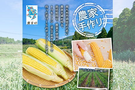 057-05 手づくりポップコーン かつおコーン6袋セット