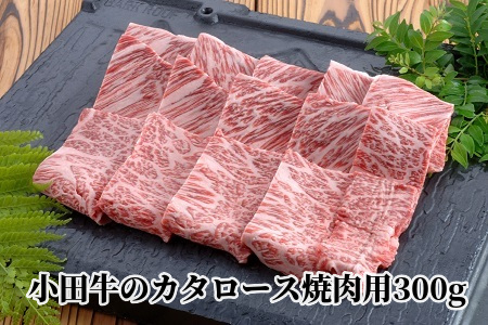 060-13 知覧農場より小田牛のカタロース焼肉用300g
