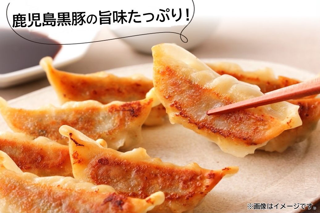 062-1-14 鹿児島黒豚餃子12P(計144個)