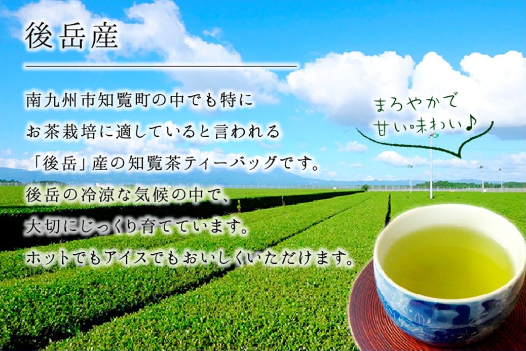 064-08 かごしま知覧茶ティーバッグ 5本セット