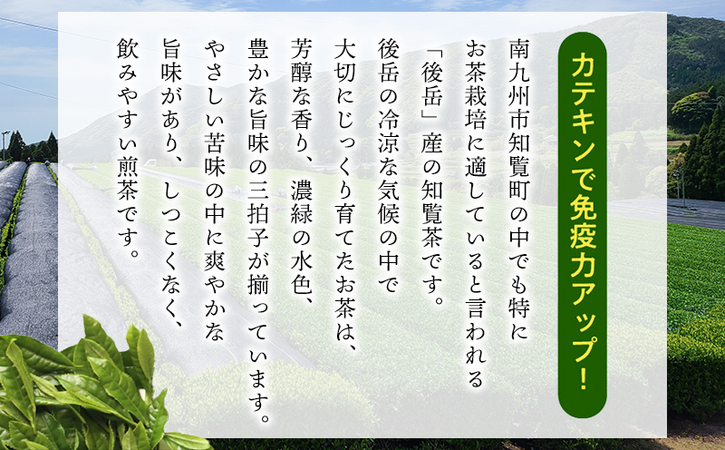 064-09 知覧茶 お徳用4袋