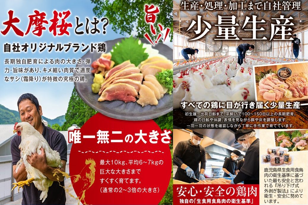 【全6回】さつま極鶏大摩桜 炭火焼き3種と炭焼き塩たたき定期便 085-12