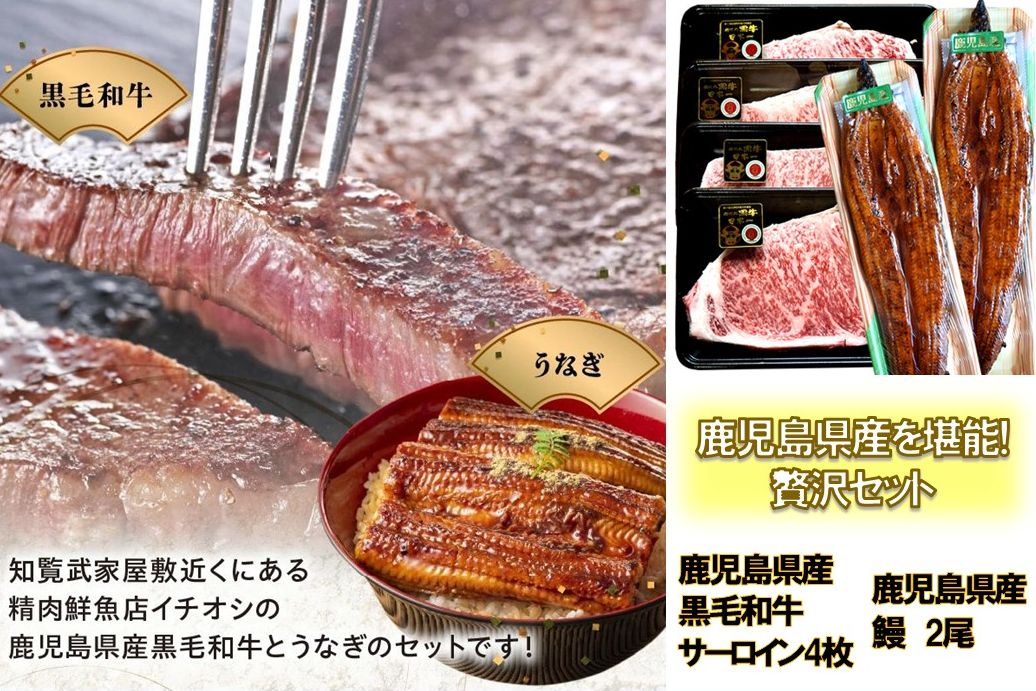 106-02 鹿児島県産黒毛和牛A5等級サーロイン4枚・鹿児島県産ウナギ2尾の贅沢セット