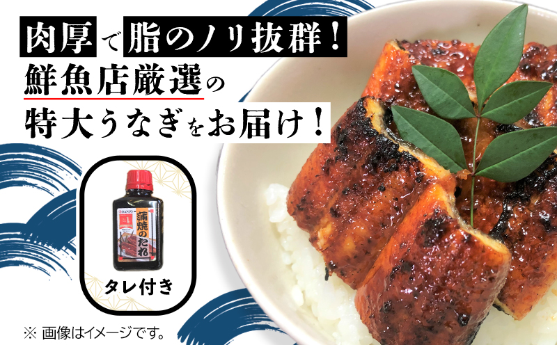 110-01 「特大」鹿児島県産うなぎ蒲焼き250g（タレ付き）