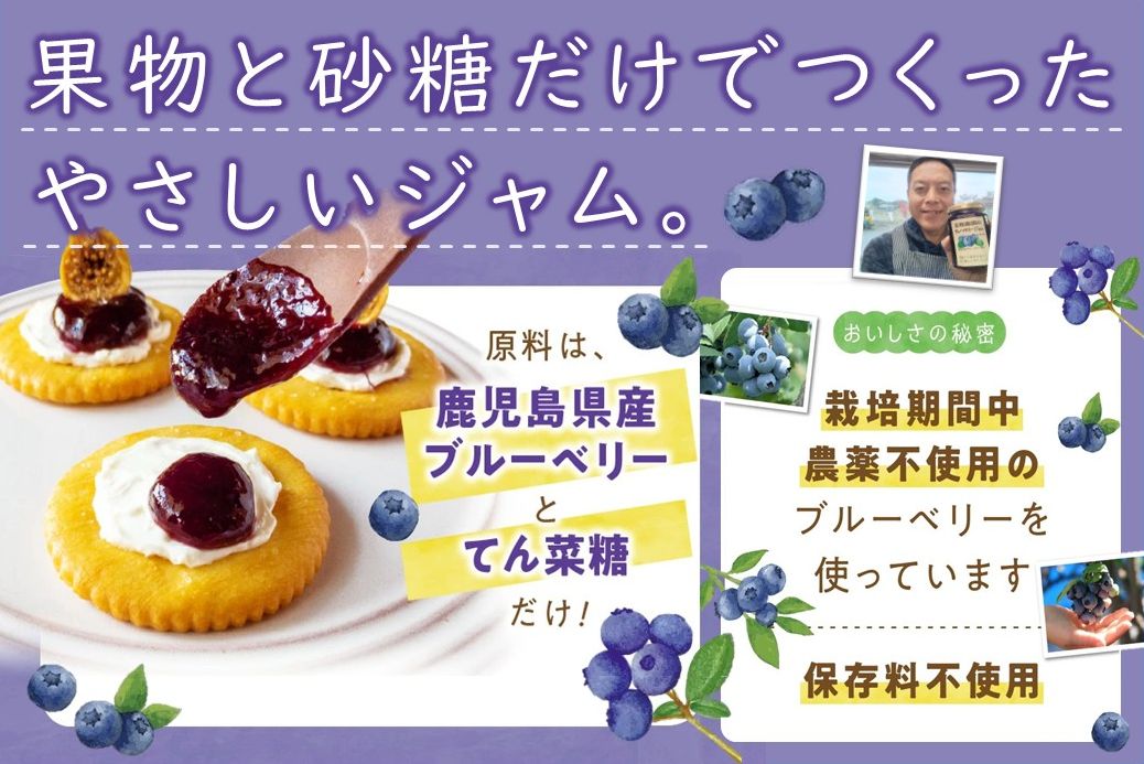 115-07 ブルーベリージャム 250g×4個