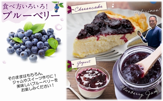 115-10 冷凍ブルーベリー1kg