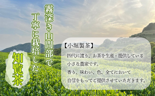 118-04 小堀製茶の2025年産煎茶『TEA PACK』6個セット