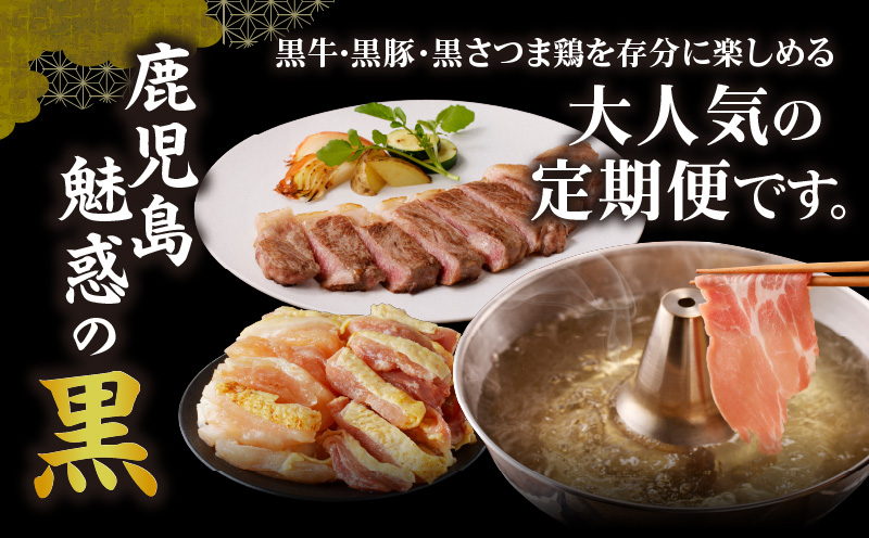 【全12回】 上撰 黒の極み定期便 KURO-ST