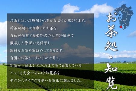 003-05 片野坂製茶 知覧茶煎茶なつめ缶ギフト