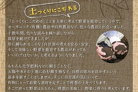 004-01 酵素栽培人参ジュース720ml×6本