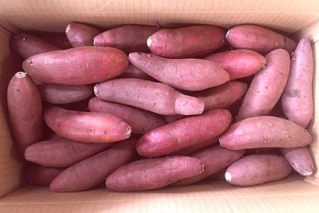 008-59 鹿児島県産紅はるか7～7.5kg