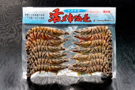 016-02 殻ごと食べられる冷凍車海老　300gパック