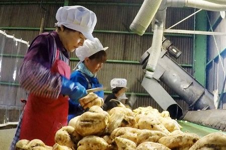 024-02 南九州市知覧の本格芋焼酎飲みくらべBセット