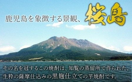 026-A-044 紙パック入 レギュラー焼酎 1.8L×6本セット