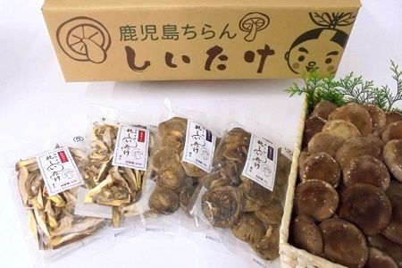 029-02 生・乾燥しいたけ(菌床)