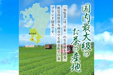 123-04 知覧茶 紅茶･粉末緑茶セット