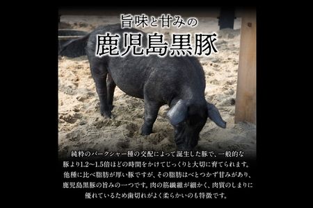022-51 鹿児島黒豚スライス・とんかつセット