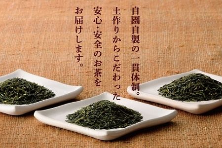 049-11 おりたの特別栽培知覧茶5本セット