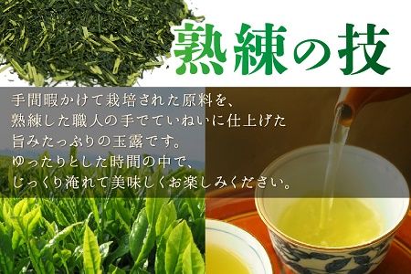 051-19 貴重！知覧玉露3本セット