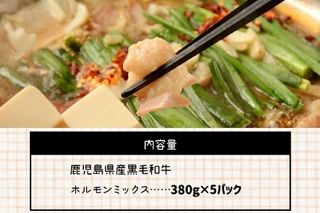 052-17 鹿児島県産黒毛和牛ホルモンミックス5パック