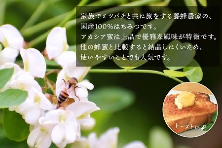 054-16 純粋国産100％アカシア蜂蜜600g