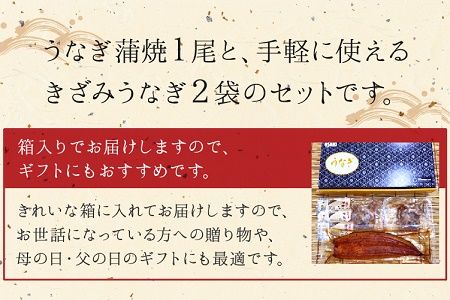 062-3-05 鹿児島県産うなぎ蒲焼1尾&きざみうなぎセット