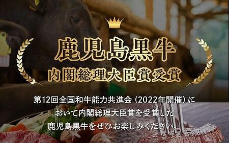 【全4回】いつでも始められる水迫畜産の黒毛和牛定期便 027-75