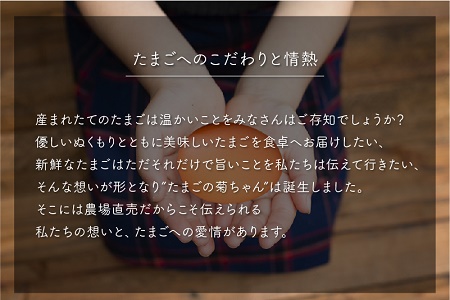 042-13菊ちゃんのたまごスープセット（卵40個・スープ10個）