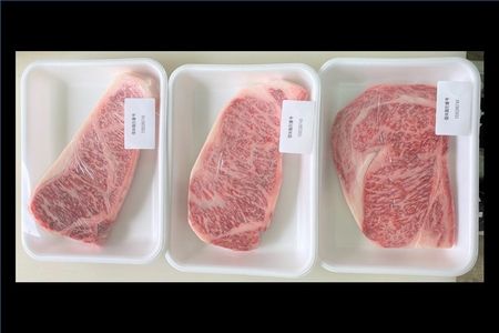 065-13 鹿児島県産黒毛和牛 サーロインステーキ300g