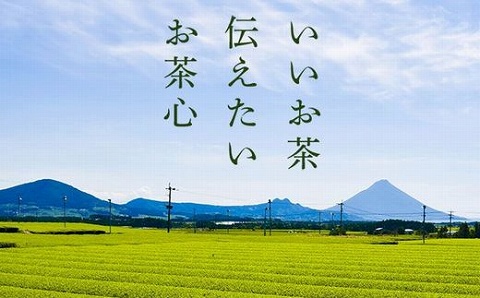 033-31 知覧茶ティーバッグ3種飲み比べセット