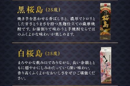 【パック焼酎定期便】1.8Lパック芋焼酎コース 全12回 計24本 026-A-065