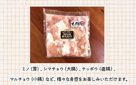 052-16 鹿児島県産黒毛和牛ホルモンミックス2パック