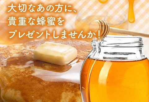 054-17 国産レンゲ蜂蜜600g