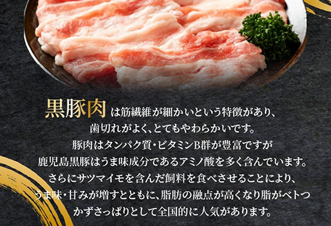 104-02 鹿児島県産黒豚 焼肉用8選（タレ付）